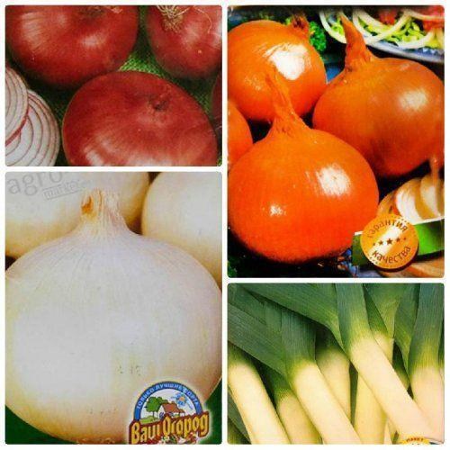 Комплект семян лука "Слёзы радости" 5уп
