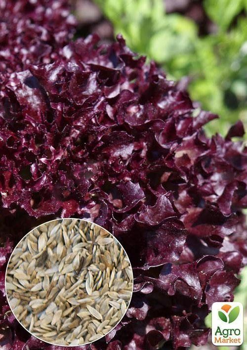 На вагу Салат "Фонтан" ТМ "Весна" ціна за 3г