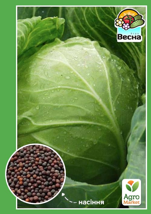 Капуста "Харківська зимова" ТМ "Весна" 0.5г