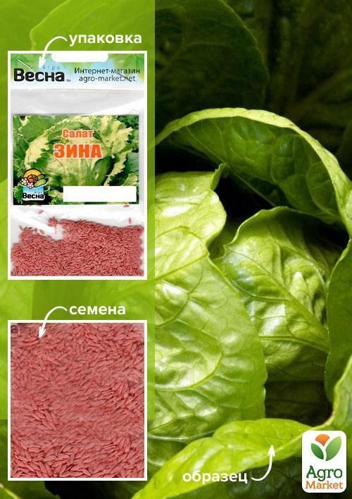 Салат "Зина" (Zina) для круглогодичного использования (Зипер) ТМ "Весна" 1,5г