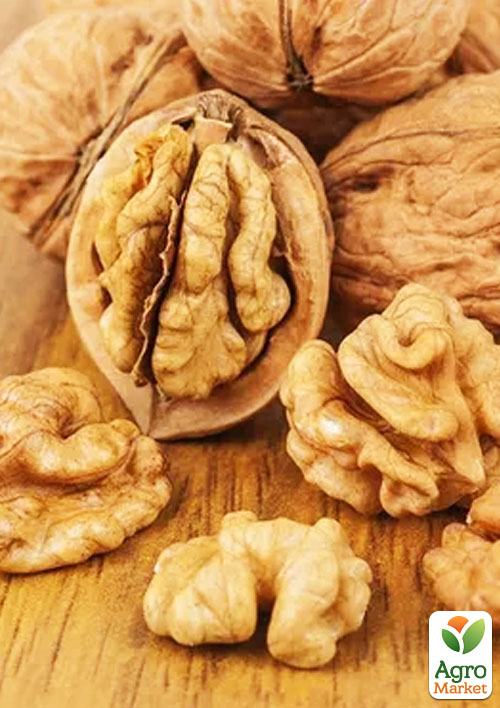 Волоський горіх щеплений "Hartley" (селекція США, середній термін дозрівання)