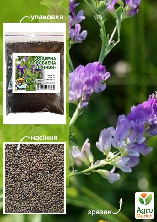 Люцерна обработанная (магниченная) "Зарница" ТМ "Весна" 1кг