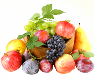 Топ-20 хітових плодових