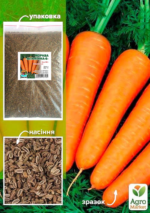 Морковь "Витаминная-6" ТМ "Весна" 500г
