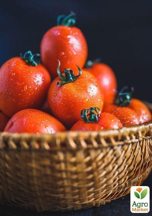 Томат "Зимняя вишня" ТМ "Vesna Select" 0,2г - фото 3