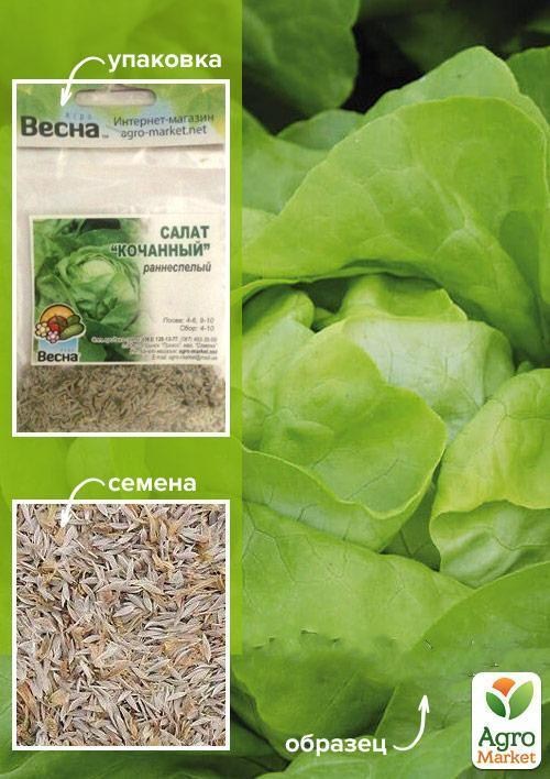Салат "Кочанный" (Зипер) ТМ "Весна" 5г