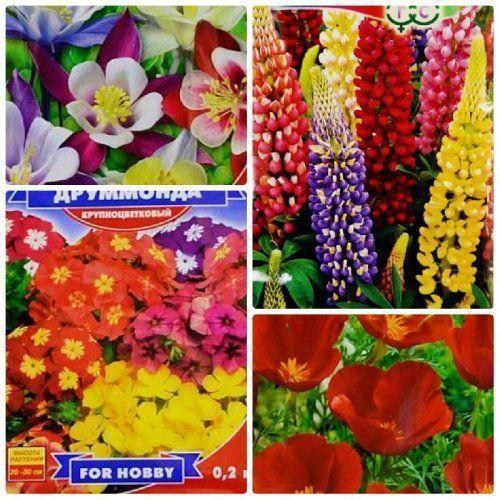 Комплект семян цветов "Сказочная поляна " 5уп 