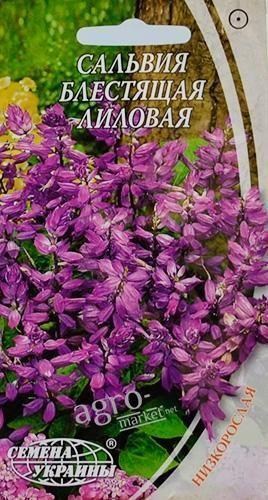 Сальвія "Блискуча лиловая" ТМ "Насіння України" 0.2г