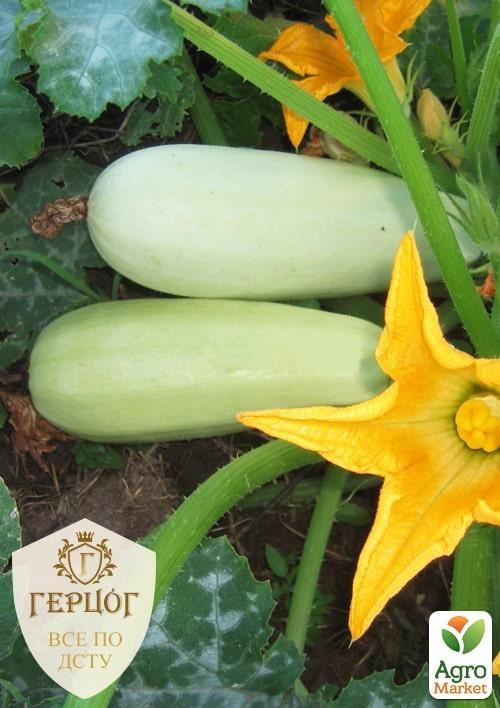 Кабачок "Герцог" "Бьянка" ТМ "Весна" 5г
