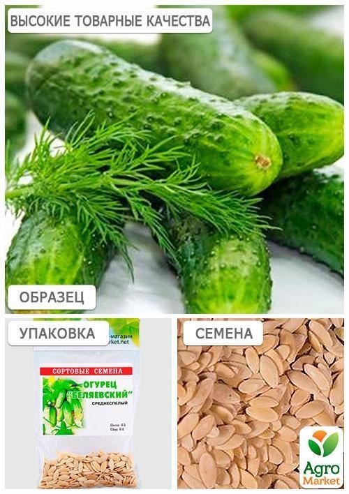 Огірок "Біляївський" (Зипер) ТМ "Весна" 2г - фото 3