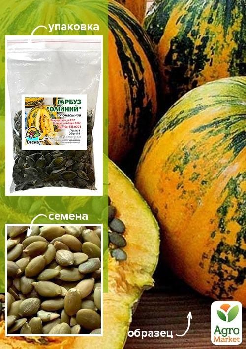 Тыква "Масляная" ТМ "Весна" 100г