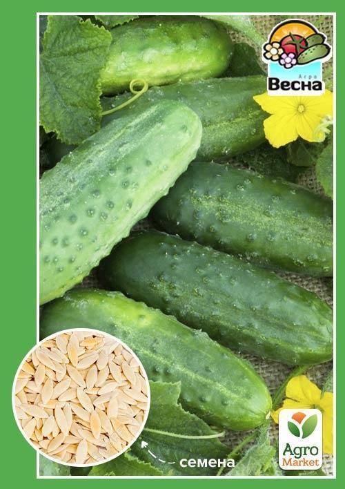 Огурец "Полан F1" ТМ "Весна" 0.5г