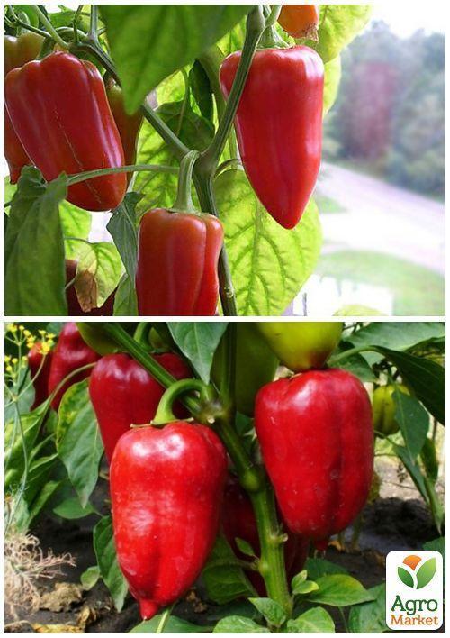 На развес Перец "Ласточка" ТМ "Весна" цена за 1г - фото 3