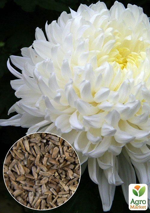 На вагу Айстра "Перли" ТМ "Весна" ціна за 1,5г