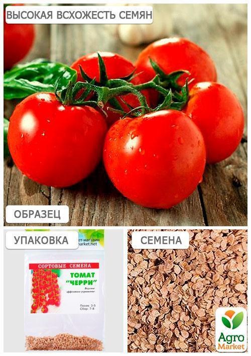 Томат "Черри" (Зипер) ТМ "Весна" 0.5г - фото 3