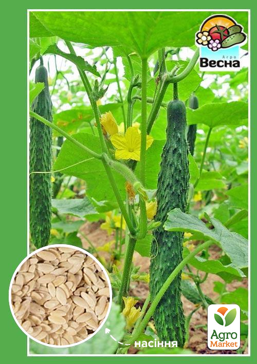 Огірок "Китайське диво" ТМ "Весна" 0.25г