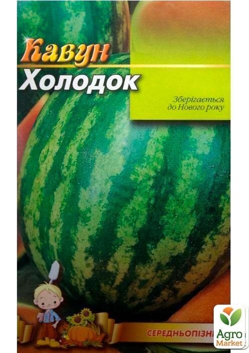 Арбуз "Холодок" (Большой пакет) ТМ "Весна" 4г - фото 2