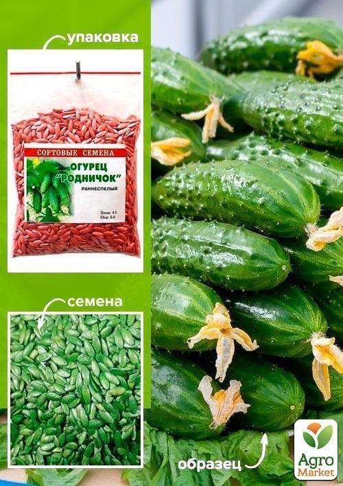 Огурец обработанный "Родничок" ТМ "Весна" 100г