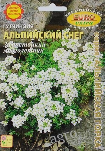 Гутчинзия "Альпийский снег" ТМ "Аэлита" 5шт