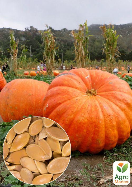 На развес Тыква "Гигант" ТМ "Весна" цена за 10г