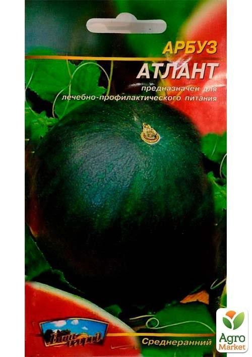 Кавун "Атлант" ТМ "Весна" 1.5г - фото 2