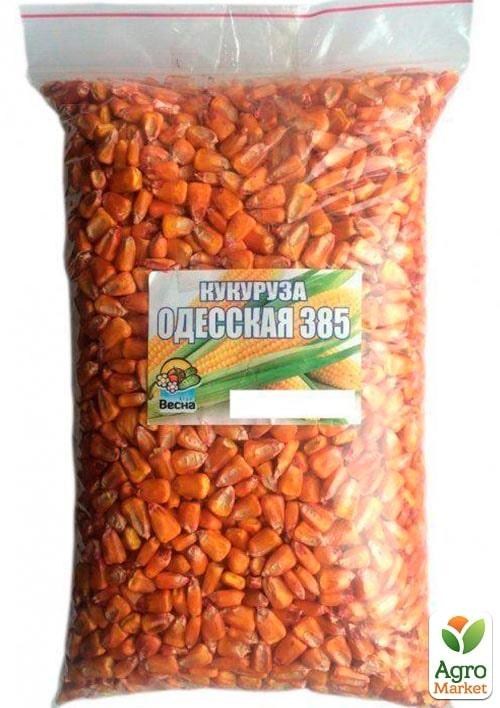 Кукурудза кормова "Одеська 385" оброблена ТМ "Весна" ЦІНА ЗА 1КГ
