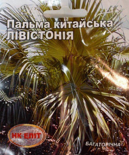 Пальма китайська "Левістонія" ТМ "НК ЕЛІТ" 3шт