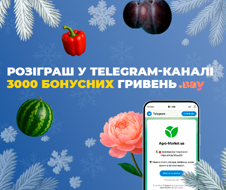 3000 бонусних гривень за підписку на Telegram-канал!