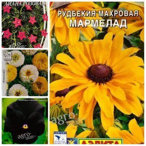Комплект насіння квітів "Божевілля" 5уп