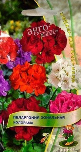 Пеларгония зональная "Колорама" ТМ "Поиск" 0.05г