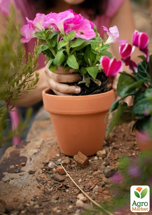 Торфосмесь универсальная COMPO SANA 10л (1131) - фото 2