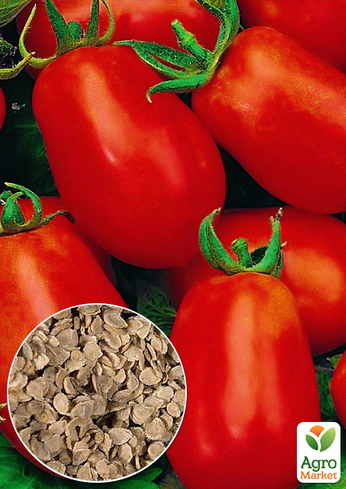 На развес Томат "Роман" ТМ "Весна" цена за 1г