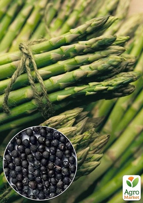 Спаржа "Деликатесная" (зипер) ТМ "Весна" 0,5г