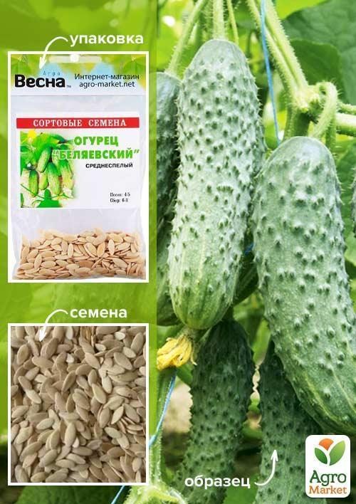 Огірок "Біляївський" (Зипер) ТМ "Весна" 2г