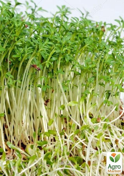 Микрозелень "Кресс-салат" (в банке) ТМ "Твоя Зеленая Весна" 10г - фото 4