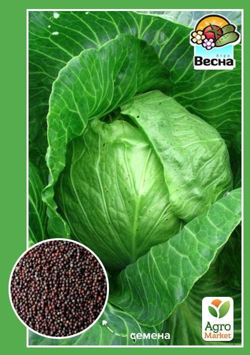 Капуста "Яна" ТМ "Весна" 0.5г