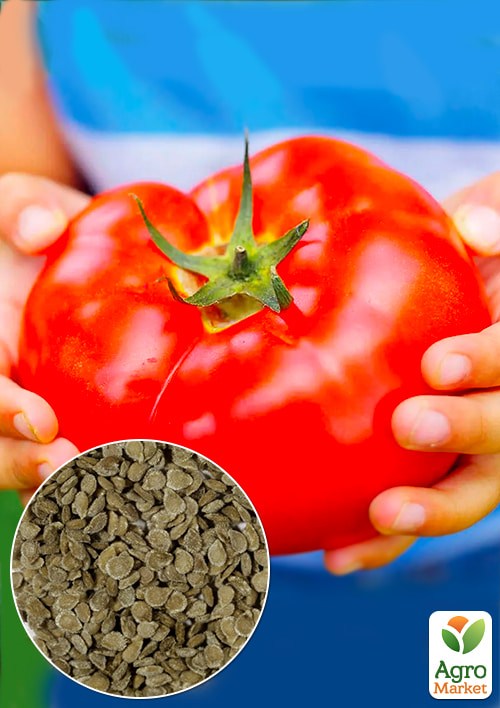 На развес Томат "Алабай" ТМ "Весна" цена за 1г