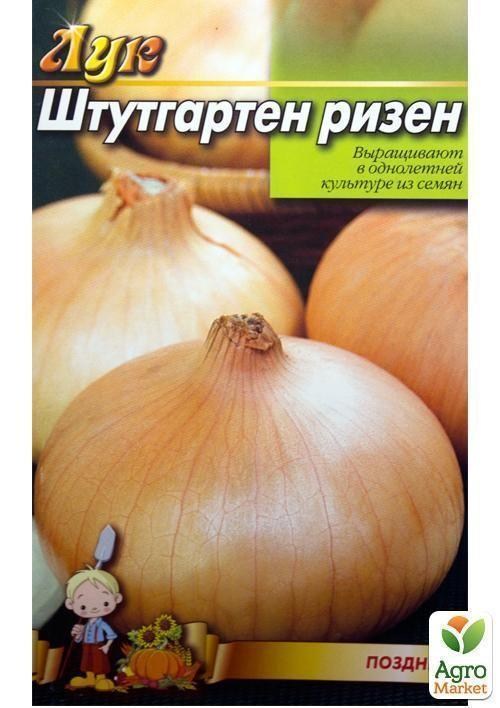 Лук "Штутгартен ризен" (Большой пакет) ТМ "Весна" 3г - фото 2