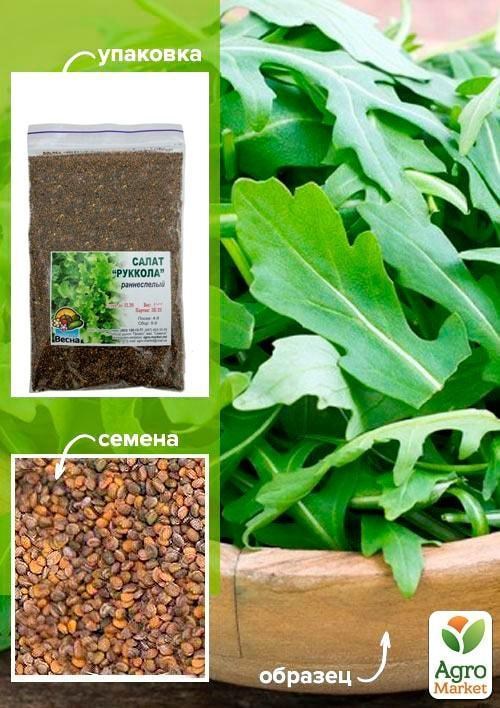Руккола ТМ "Весна" 100г