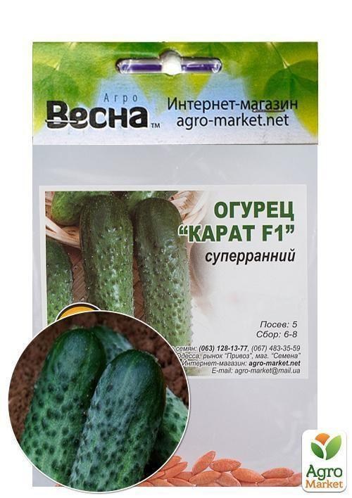Огірок оброблений "Карат F1" (Зипер) ТМ "Весна" 0.5г - фото 2
