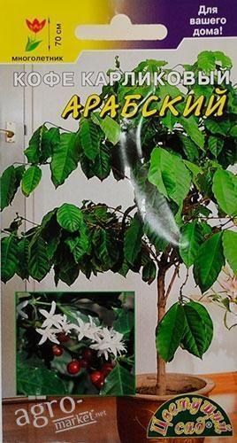 Кофе карликовый "Арабский" ТМ "Цветущий сад" 0.3г