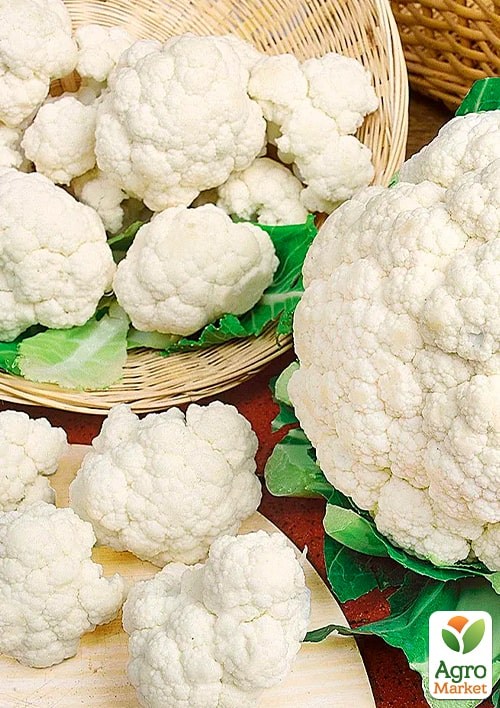 Капуста цвітна "Білий замок" (Зипер) ТМ "Весна" 1г - фото 2