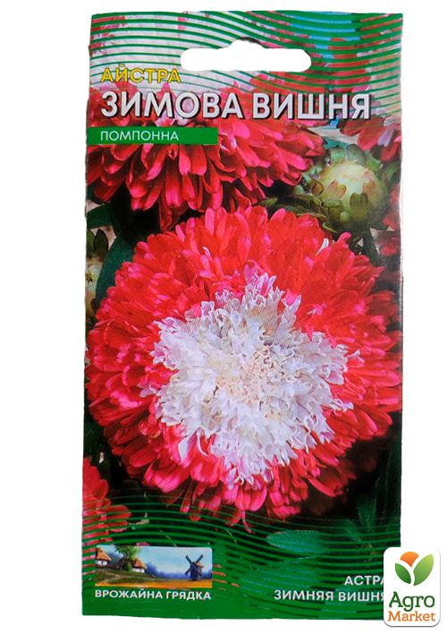 Астра "Зимняя вишня" ТМ "Весна" 0.2г - фото 2