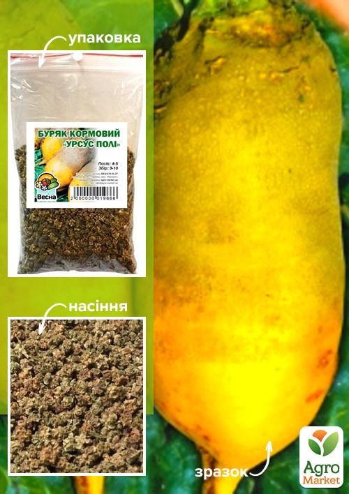 Буряк Кормовий "Урсус Полі" ТМ "Весна" 100г