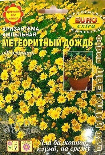 Хризантема ампельная "Метеоритный дождь" ТМ "АЭЛИТА" 20шт