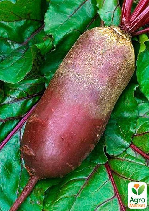 Свекла кормовая "Рекорд" (Зипер) ТМ "Весна" 10г - фото 3