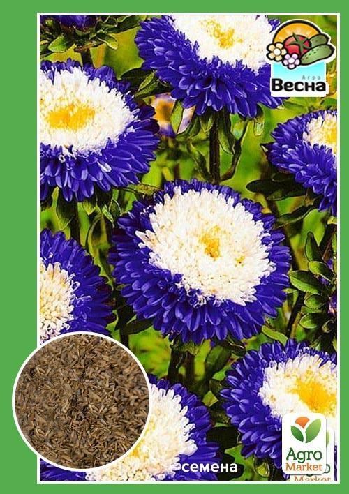 Астра "Созвездие" ТМ "Весна" 0.2г