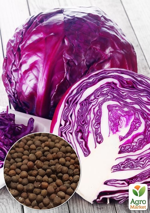 На развес Капуста краснокочанная "Кода" ТМ "Весна" цена за 2г