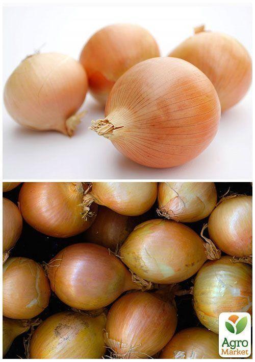 На развес Лук "Луганский" ТМ "Весна" цена за 5г - фото 4