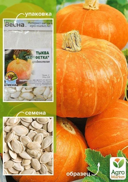 Тыква "Конфетка" (Зипер) ТМ "Весна" 8г